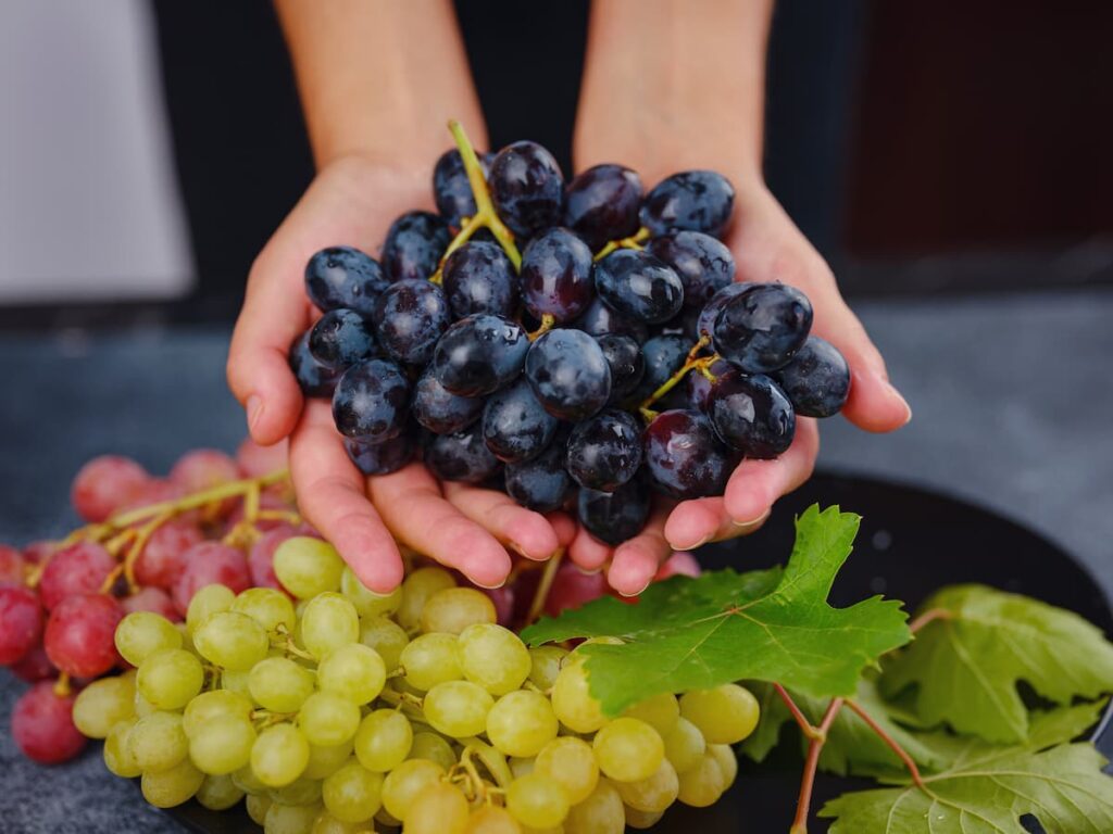 Imagem mostra uvas frescas, uma das frutas mais nutritivas para alimentação.