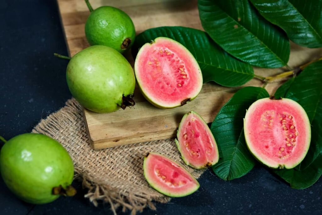 Imagem mostra goiabas frecas e perfeitas para fazer um delicioso e refrescante suco de goiaba.