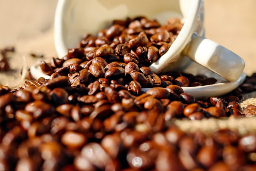 Imagem mostra grãos de café especial torrado.